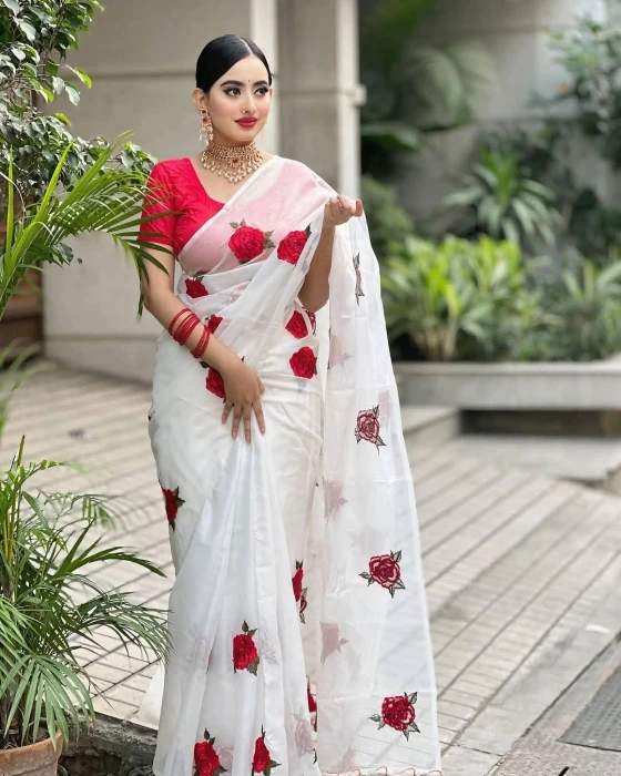 Embroidery Saree
